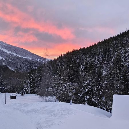 Bouda Bile Labe Hotell Špindlerŭv Mlýn Eksteriør bilde